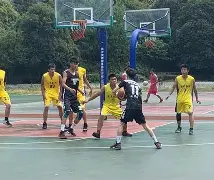 半岛体育网-一级方程式疾速争胜第一季